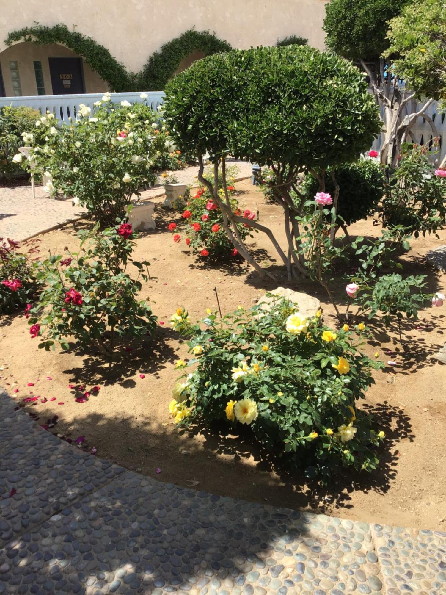 Americas Best Value Inn And Suites -Yucca Valley Bagian luar foto