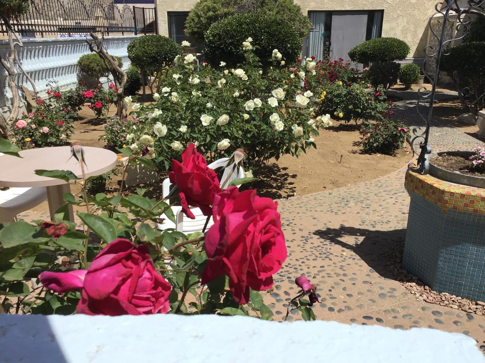 Americas Best Value Inn And Suites -Yucca Valley Bagian luar foto