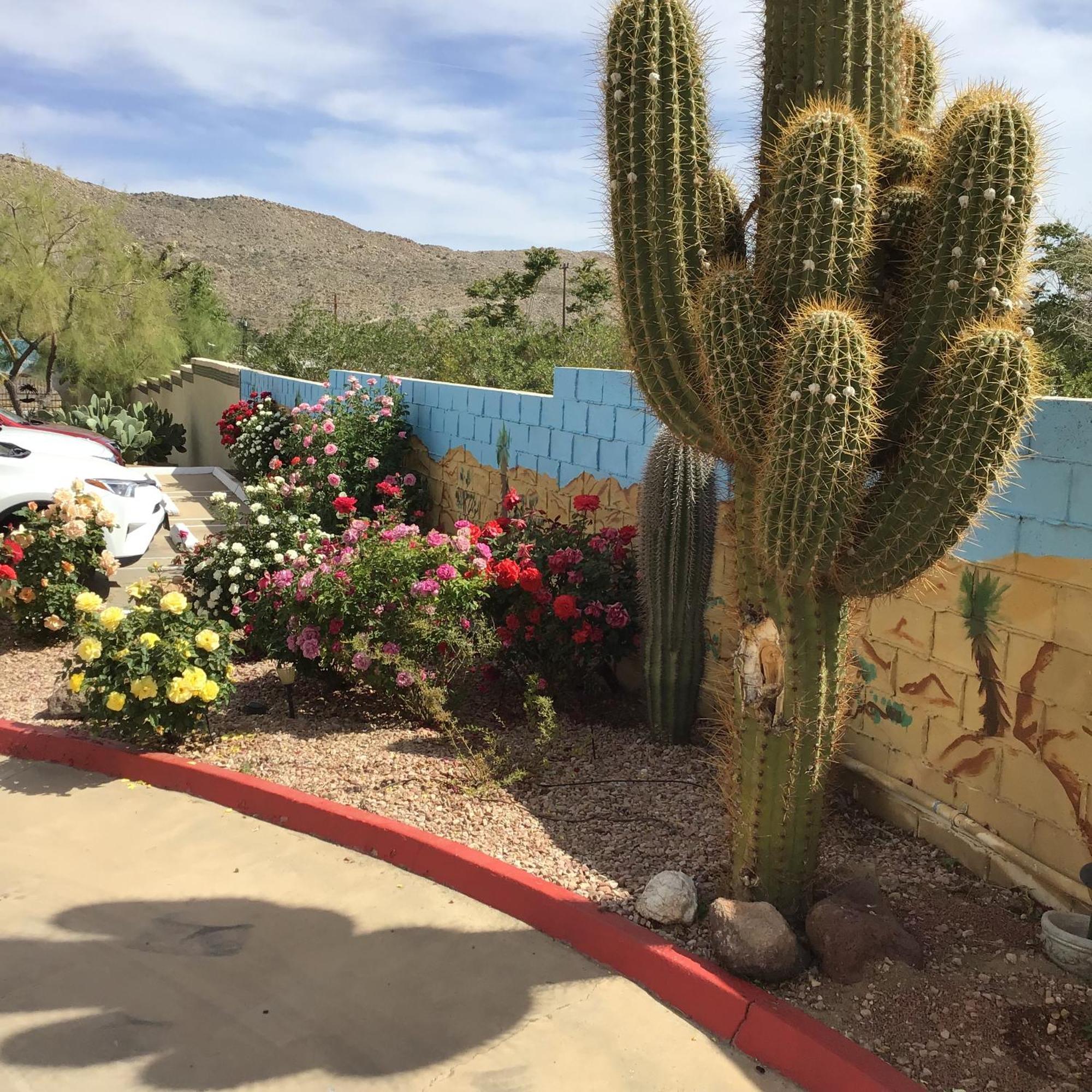 Americas Best Value Inn And Suites -Yucca Valley Bagian luar foto