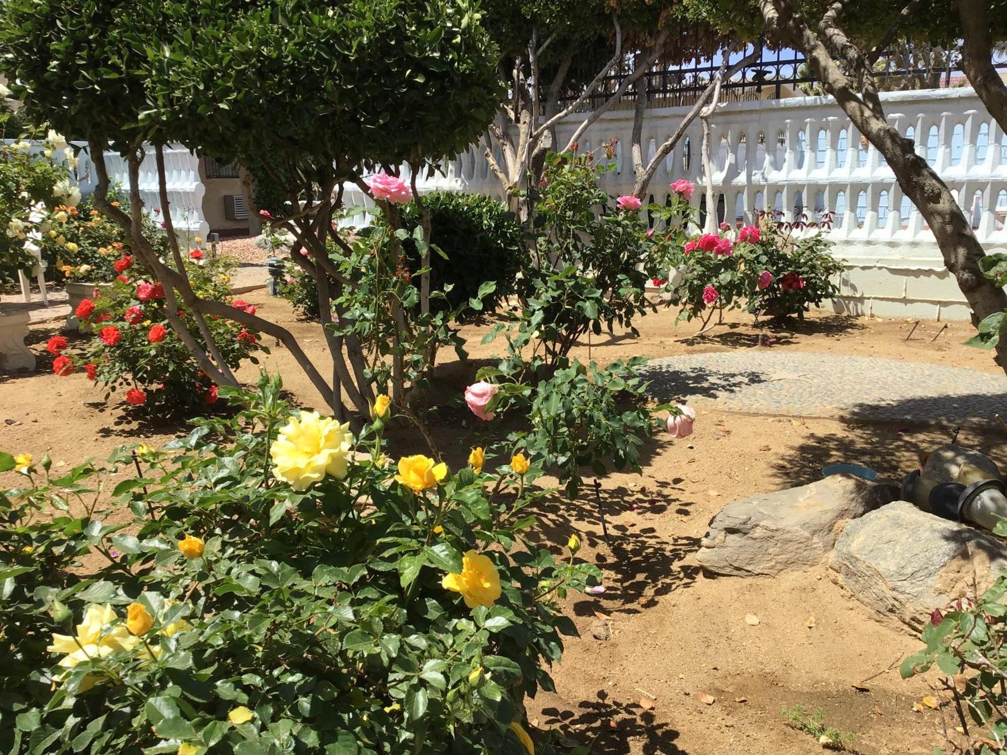 Americas Best Value Inn And Suites -Yucca Valley Bagian luar foto