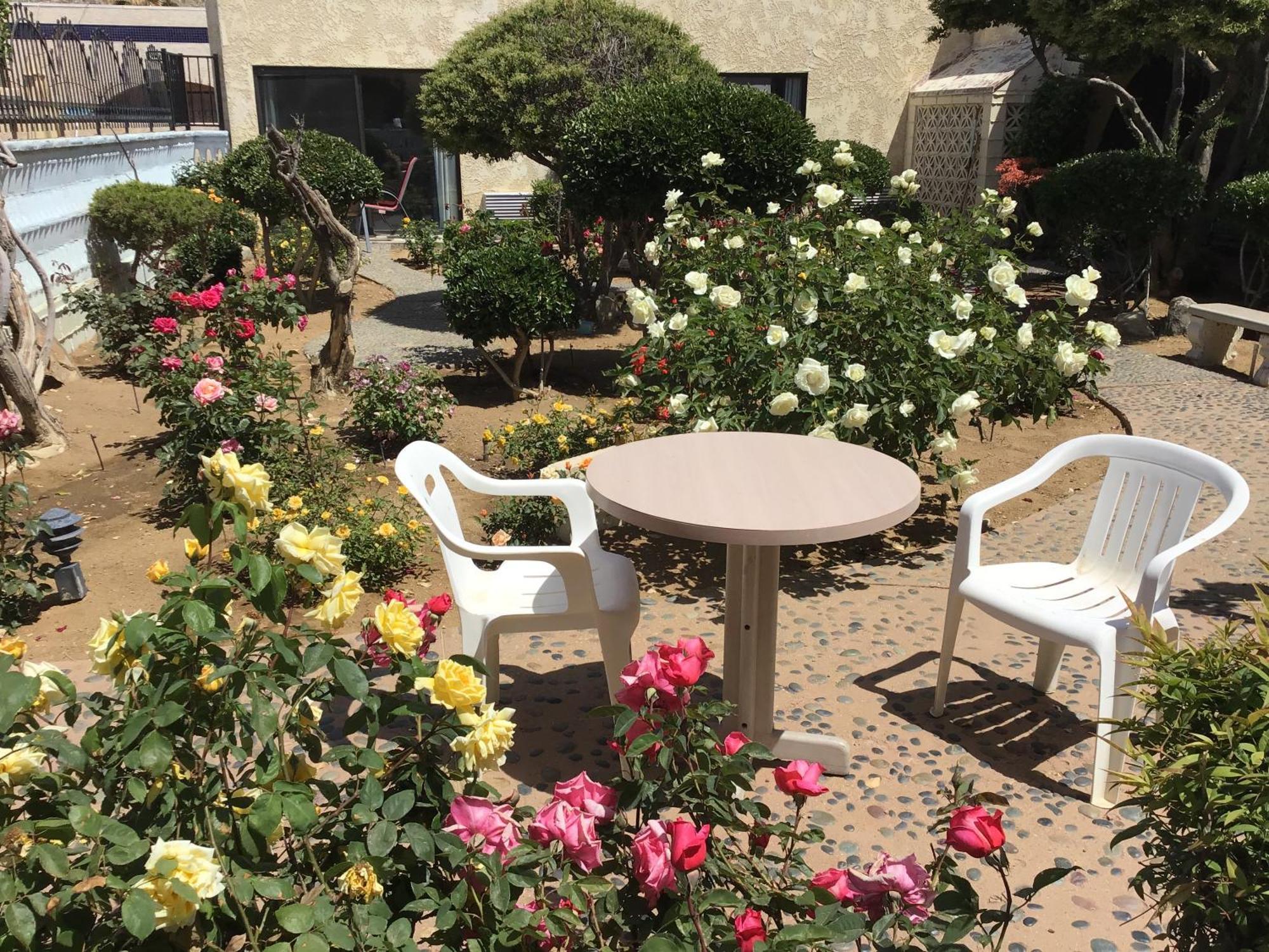 Americas Best Value Inn And Suites -Yucca Valley Bagian luar foto