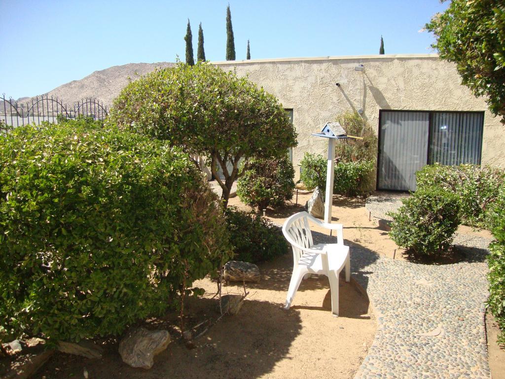 Americas Best Value Inn And Suites -Yucca Valley Bagian luar foto